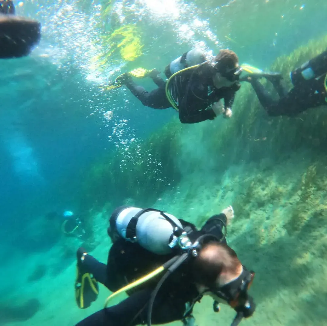 Beginner’s Guide to Scuba Diving